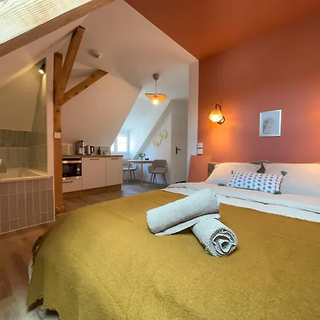 Appartement Cosy Sous Les Toits - Charme Et Modernité Sarreguemines
